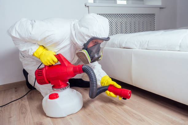 Best Pest Control Treatment  in Berryville, VA
