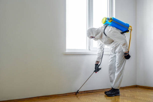 Wildlife Control Services in Berryville, VA