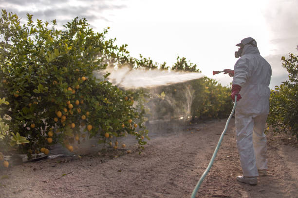Best Pest Control Near Me in Berryville, VA