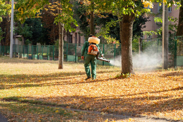 Best Affordable Pest Control Services  in Berryville, VA